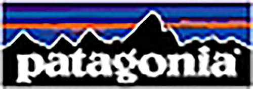 Patagonia Roy