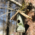 【八ヶ岳のGW】竹で作る鳥のお家！